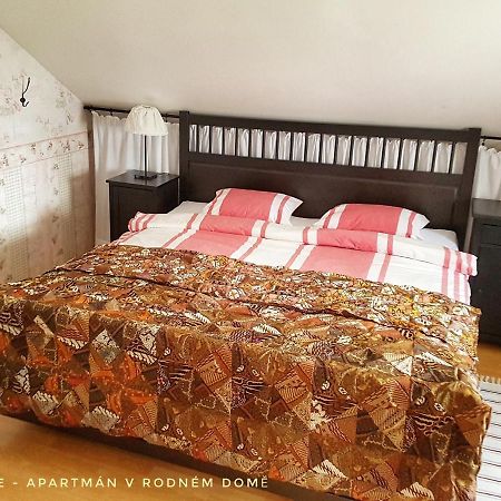 Apartmá v Rodném domě Vincenze Priessnitze v centru lázní Jeseník Extérieur photo